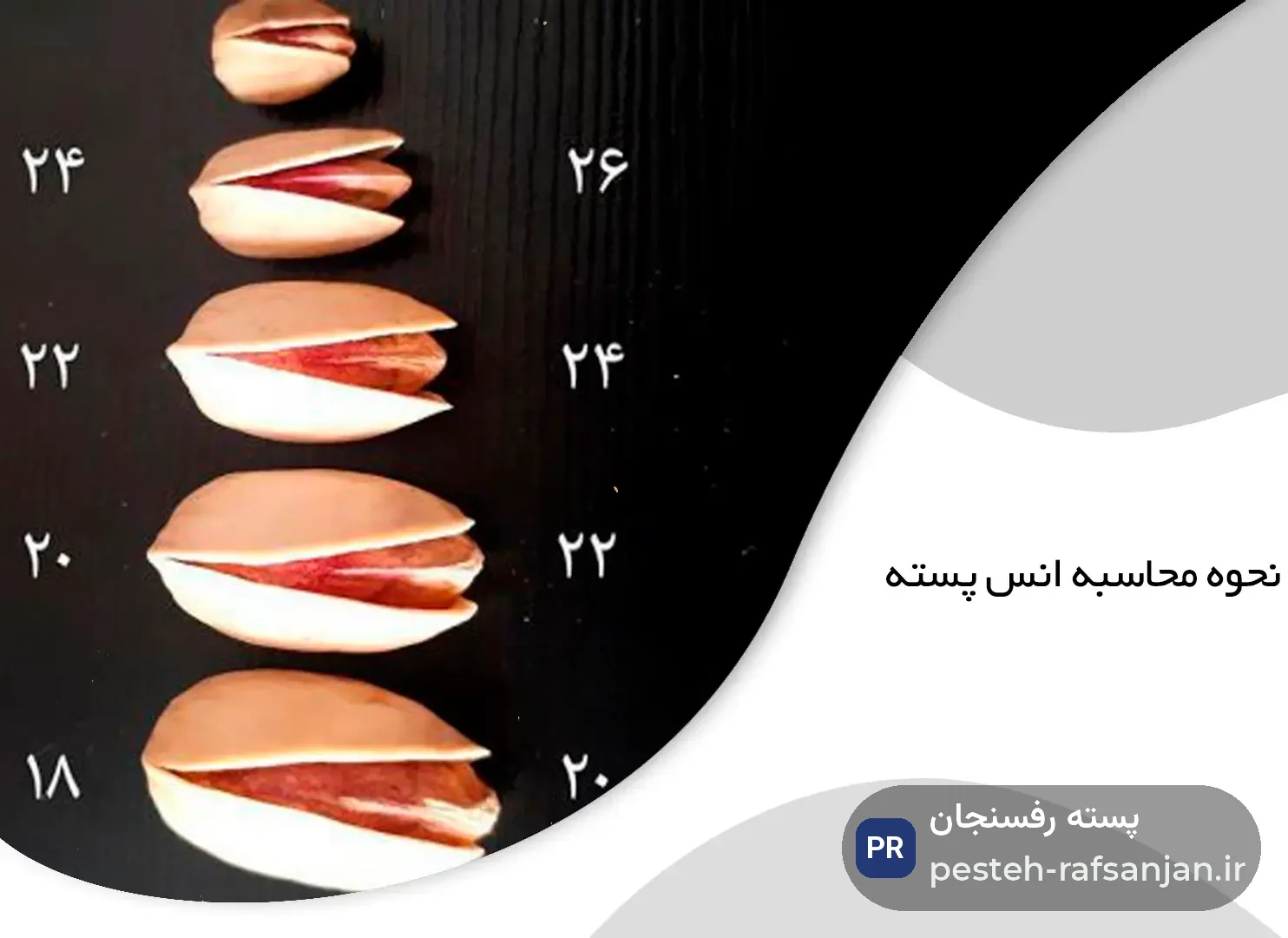 تحلیل بازار: محاسبه انس | مقایسه و محاسبه